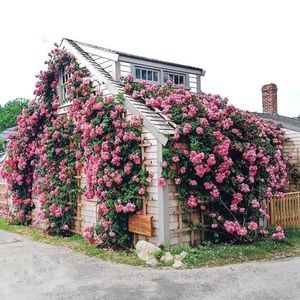 Meet your Posher, Tammy